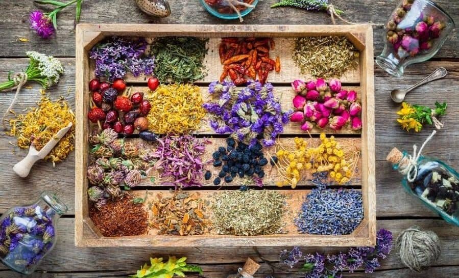 آیا مصرف گیاهان دارویی باعث بروز کبد چرب می‌شود؟