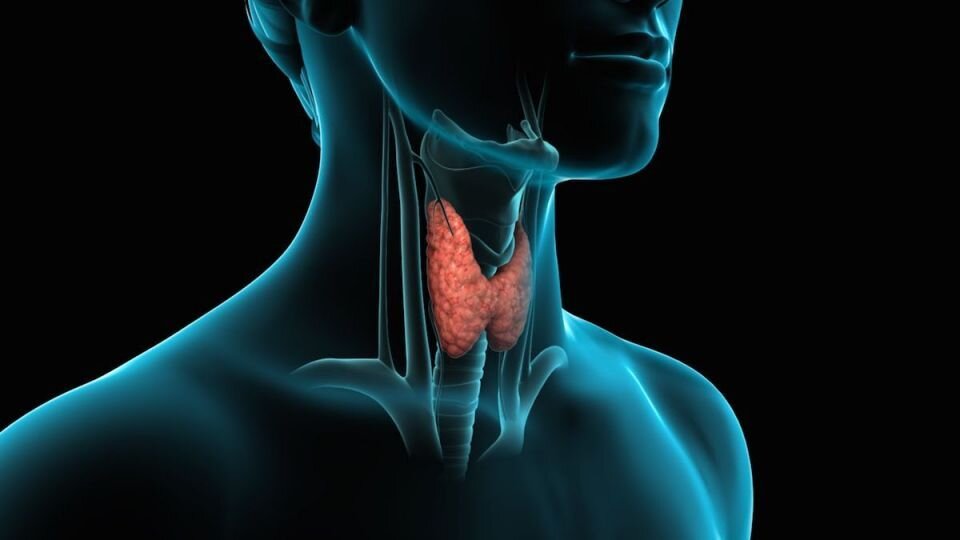 ۴ اقدام برای کمک به سلامت تیروئید