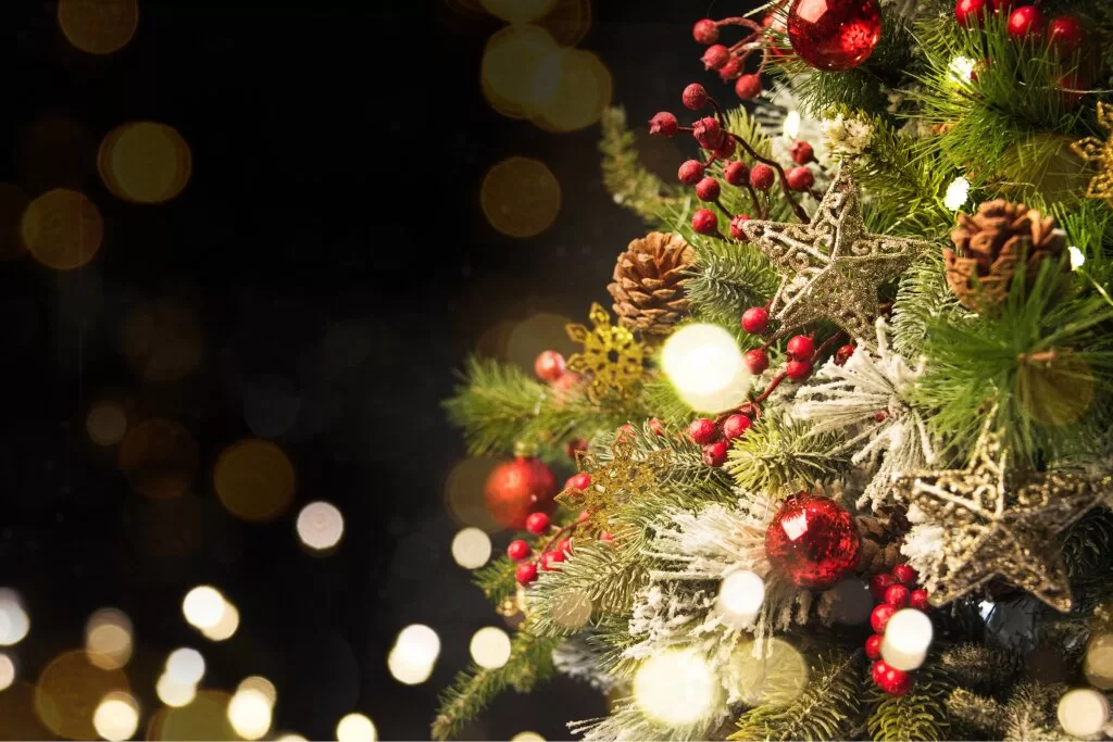 موجود زنده‌ای که از درخت کریسمس سر درآورد!/ عکس