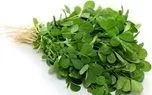 با این سبزی، سنگ کلیه را آب کنید
