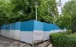 اولین واکنش به اعدام درختان در پارک لاله تهران